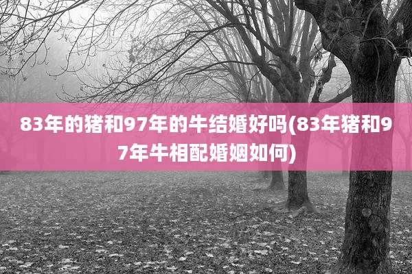 83年的猪和97年的牛结婚好吗(83年猪和97年牛相配婚姻如何)