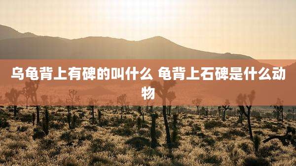 乌龟背上有碑的叫什么 龟背上石碑是什么动物