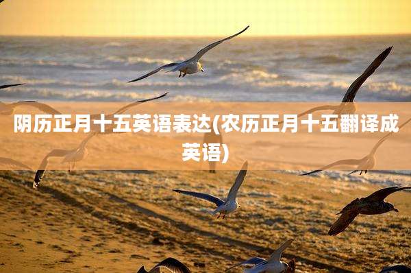 阴历正月十五英语表达(农历正月十五翻译成英语)