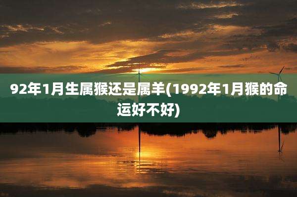 92年1月生属猴还是属羊(1992年1月猴的命运好不好)