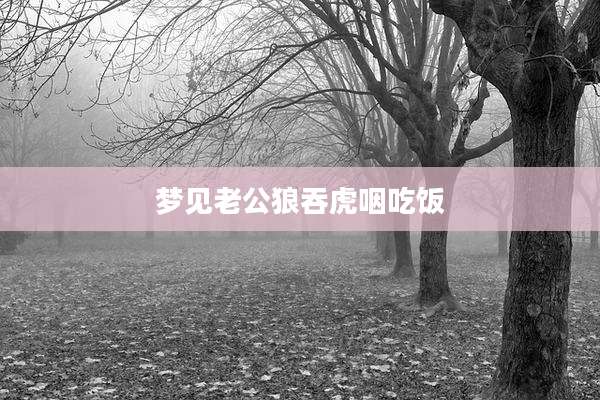 梦见老公狼吞虎咽吃饭