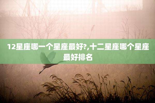12星座哪一个星座最好?,十二星座哪个星座最好排名