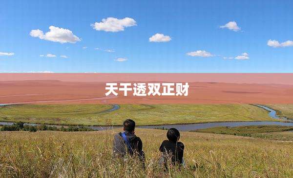 天干透双正财
