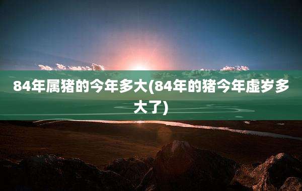 84年属猪的今年多大(84年的猪今年虚岁多大了)