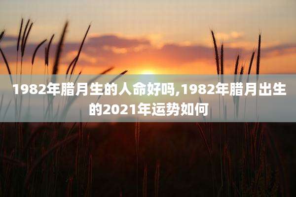 1982年腊月生的人命好吗,1982年腊月出生的2021年运势如何