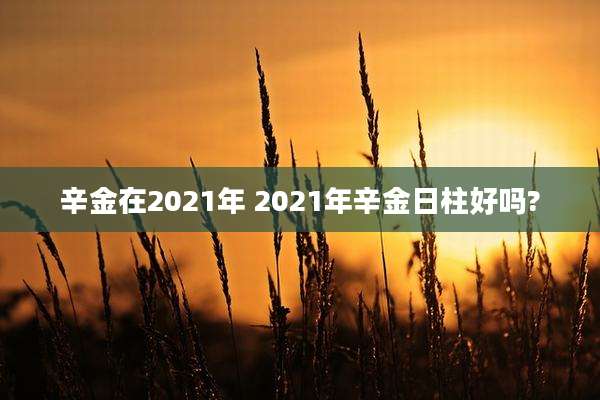 辛金在2021年 2021年辛金日柱好吗?