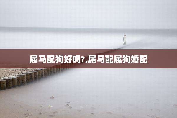 属马配狗好吗?,属马配属狗婚配