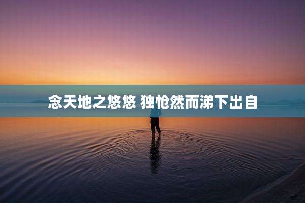 念天地之悠悠 独怆然而涕下出自