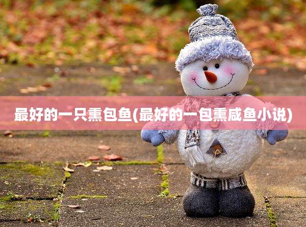 最好的一只熏包鱼(最好的一包熏咸鱼小说)