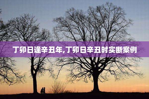 丁卯日逢辛丑年,丁卯日辛丑时实断案例