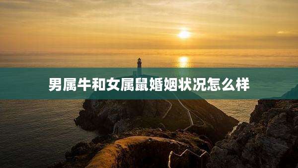 男属牛和女属鼠婚姻状况怎么样