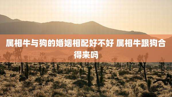 属相牛与狗的婚姻相配好不好 属相牛跟狗合得来吗