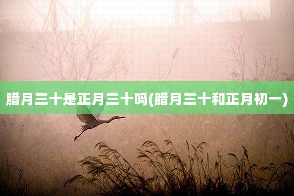 腊月三十是正月三十吗(腊月三十和正月初一)