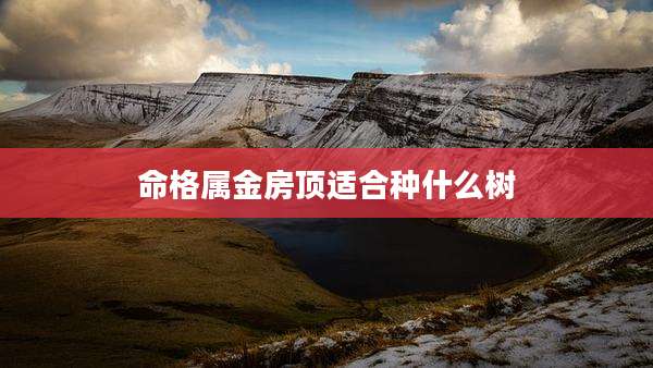 命格属金房顶适合种什么树