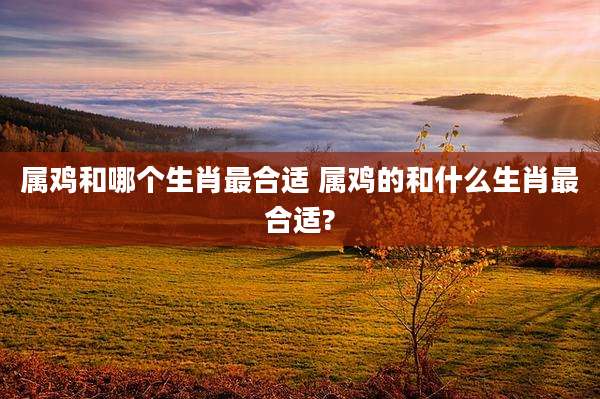 属鸡和哪个生肖最合适 属鸡的和什么生肖最合适?