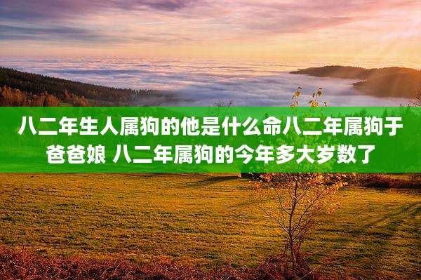 八二年生人属狗的他是什么命八二年属狗于爸爸娘 八二年属狗的今年多大岁数了