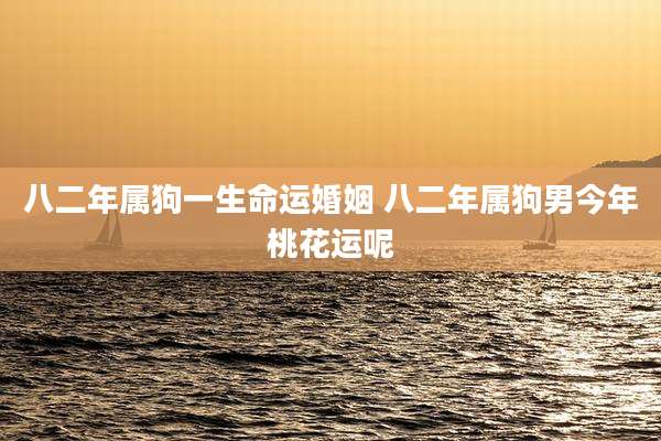 八二年属狗一生命运婚姻 八二年属狗男今年桃花运呢