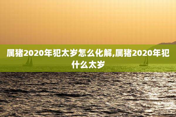 属猪2020年犯太岁怎么化解,属猪2020年犯什么太岁