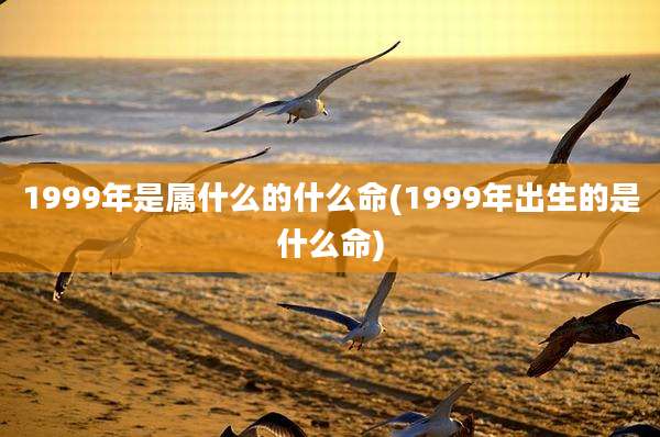 1999年是属什么的什么命(1999年出生的是什么命)