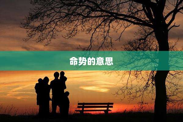 命势的意思
