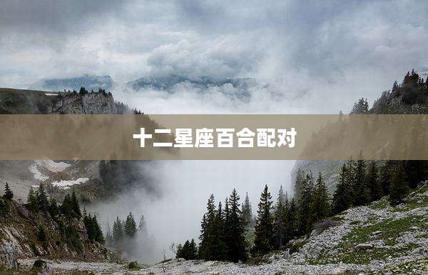 十二星座百合配对