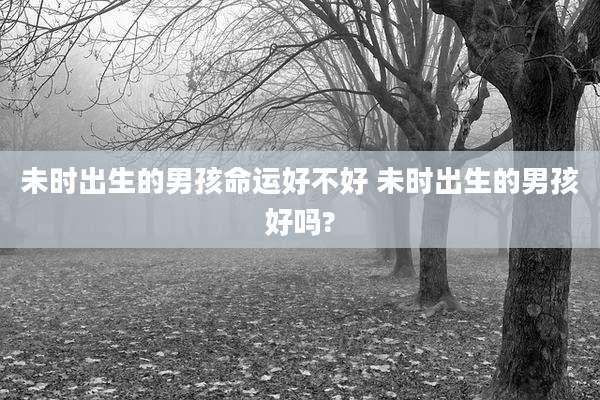 未时出生的男孩命运好不好 未时出生的男孩好吗?