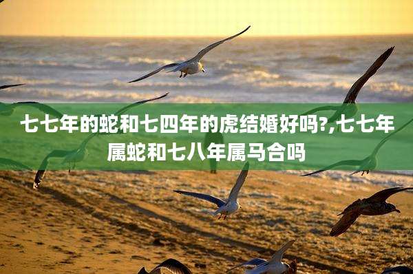 七七年的蛇和七四年的虎结婚好吗?,七七年属蛇和七八年属马合吗