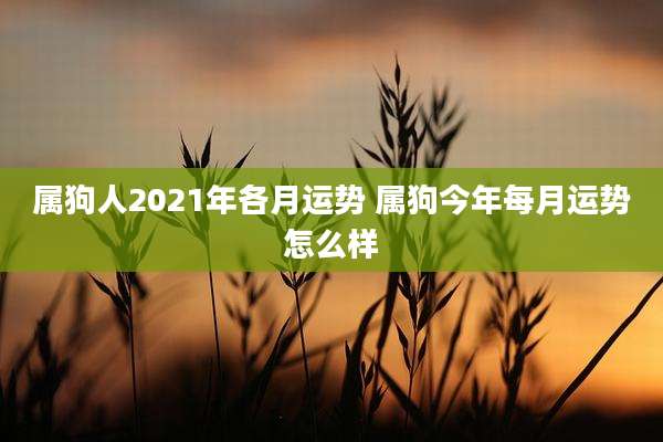属狗人2021年各月运势 属狗今年每月运势怎么样