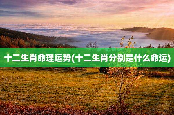 十二生肖命理运势(十二生肖分别是什么命运)