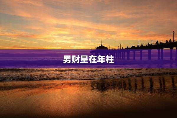 男财星在年柱