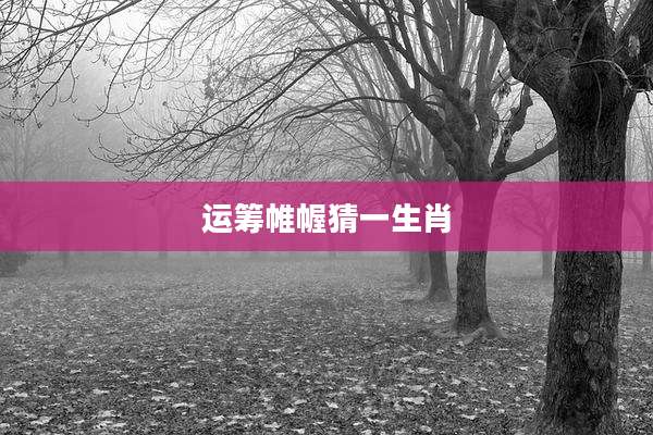 运筹帷幄猜一生肖