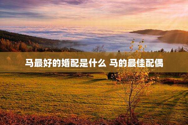 马最好的婚配是什么 马的最佳配偶