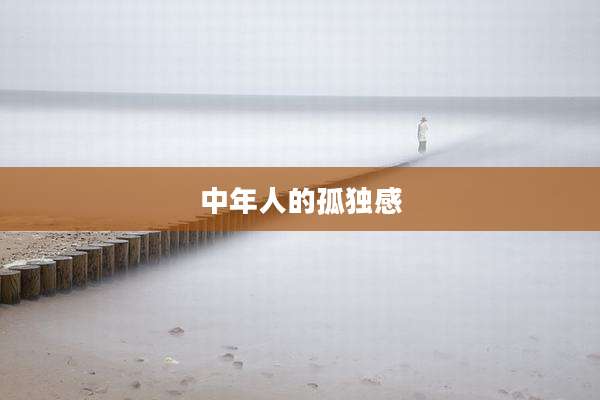 中年人的孤独感