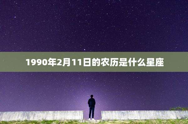 1990年2月11日的农历是什么星座