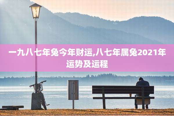 一九八七年兔今年财运,八七年属兔2021年运势及运程
