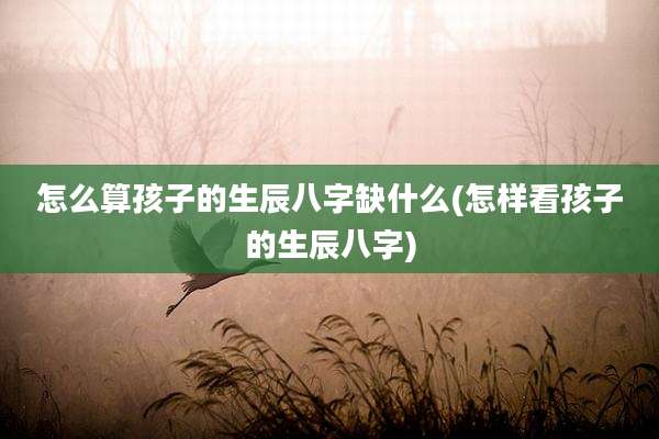 怎么算孩子的生辰八字缺什么(怎样看孩子的生辰八字)