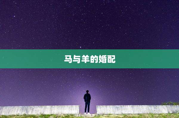 马与羊的婚配