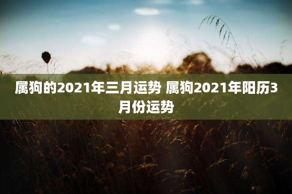 属狗的2021年三月运势 属狗2021年阳历3月份运势