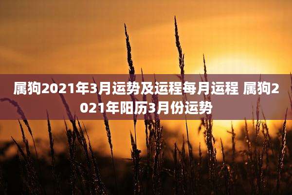 属狗2021年3月运势及运程每月运程 属狗2021年阳历3月份运势