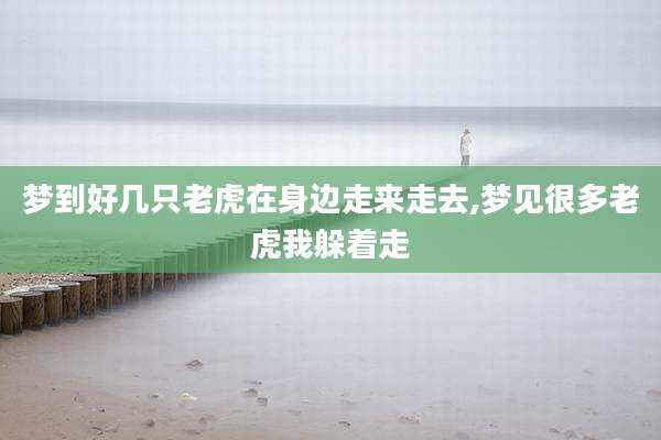 梦到好几只老虎在身边走来走去,梦见很多老虎我躲着走