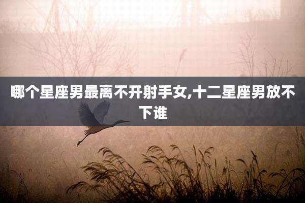 哪个星座男最离不开射手女,十二星座男放不下谁