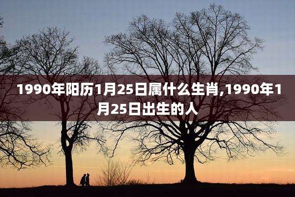 1990年阳历1月25日属什么生肖,1990年1月25日出生的人