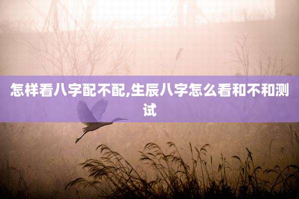 怎样看八字配不配,生辰八字怎么看和不和测试