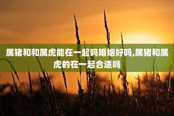 属猪和和属虎能在一起吗婚姻好吗,属猪和属虎的在一起合适吗