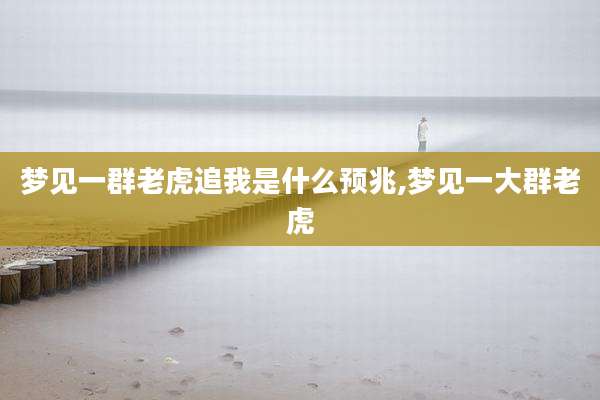 梦见一群老虎追我是什么预兆,梦见一大群老虎