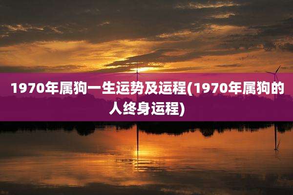 1970年属狗一生运势及运程(1970年属狗的人终身运程)