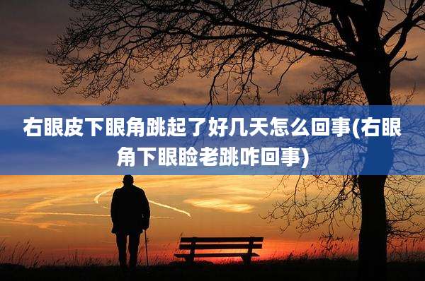 右眼皮下眼角跳起了好几天怎么回事(右眼角下眼睑老跳咋回事)