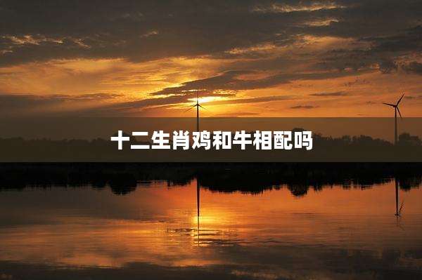 十二生肖鸡和牛相配吗