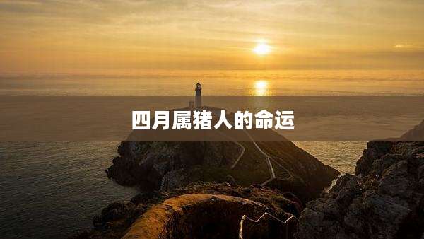 四月属猪人的命运