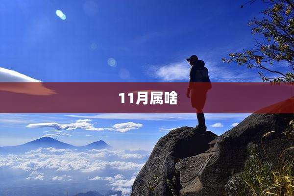 11月属啥